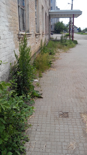 IMG 20150528 115038