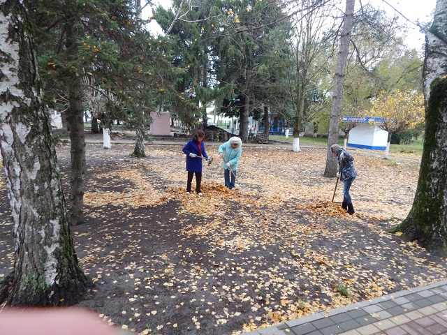 foto2015 2015-11-16-1