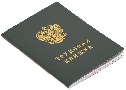 1386866184 trudovaya-knizhka