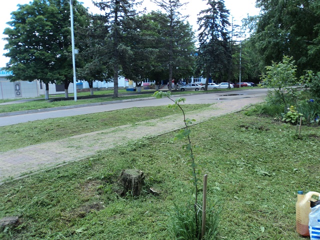 DSC00751