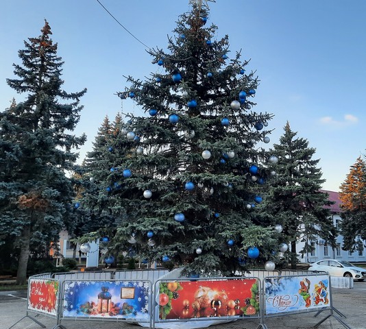 nov krasav 2024 1