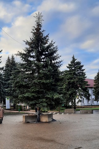 novogod krasav na ploschad 1