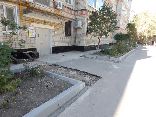 DSCN7401