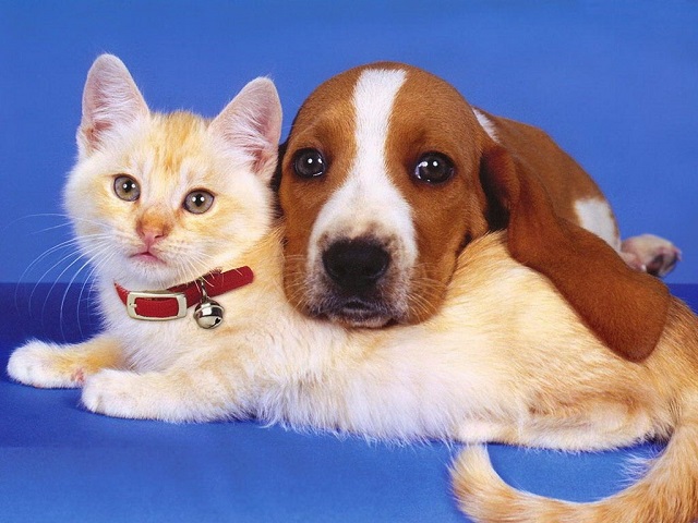 foto 09 11 2021