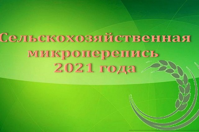 foto-11-08-2021-14-53