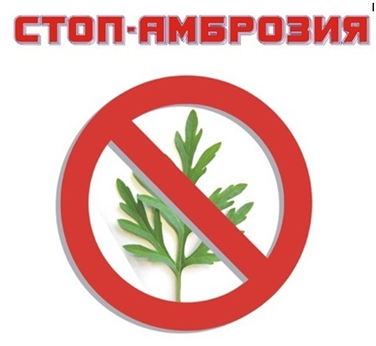ambroziya 2024 06 27
