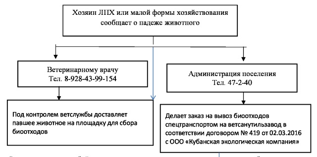 shema 20161226