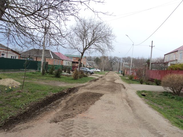 DSC02516