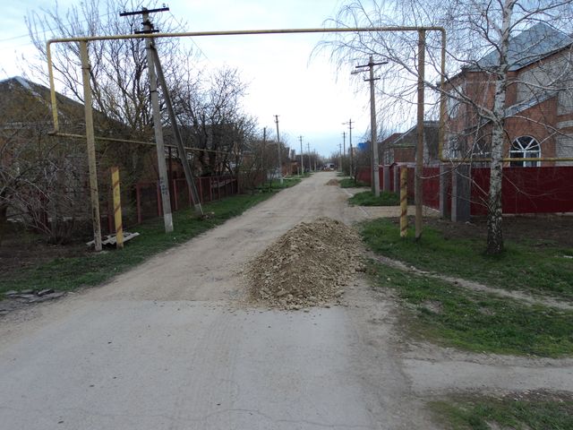 DSC02524