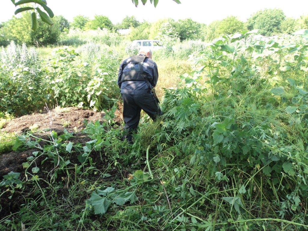 DSC02788