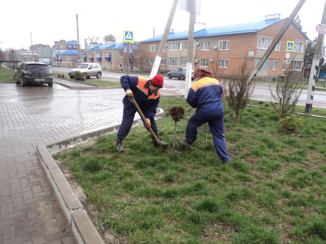 DSC04647