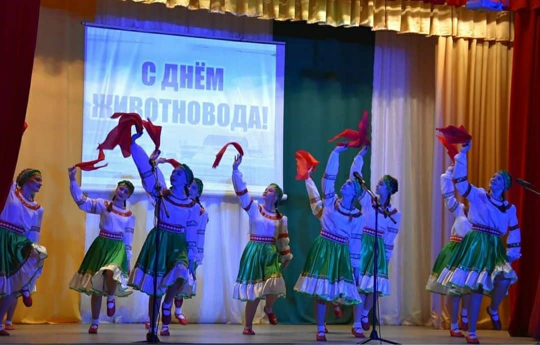 IMG 20200228 205606 076