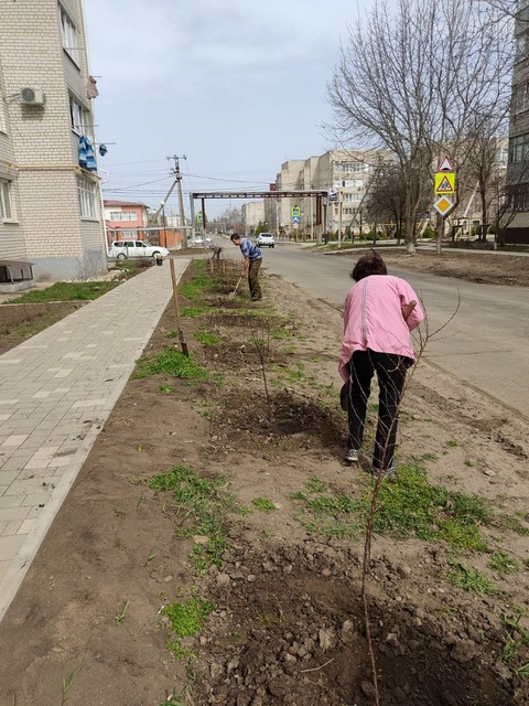 photo1648891239 5