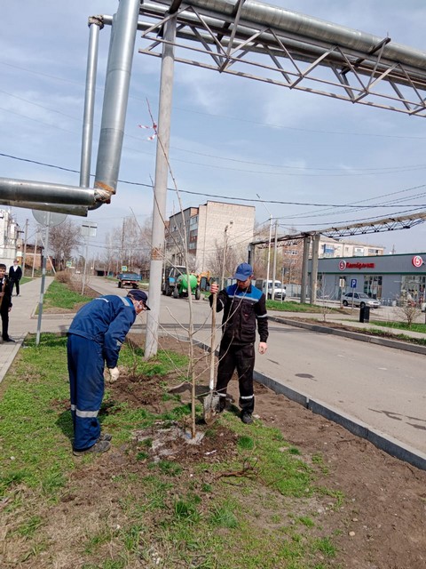 photo 2803 04