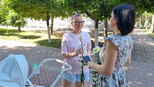 romashka 0807 02