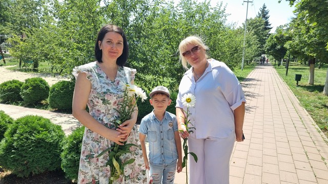 romashka 0807 04