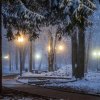 фото