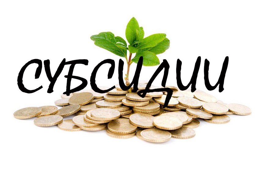subsidii