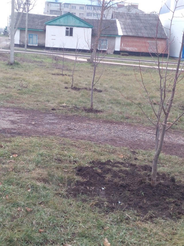IMG 20151216 102710