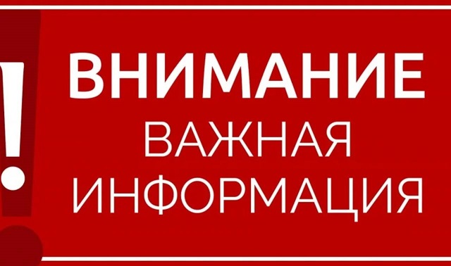 IMG 20250204 081531 319
