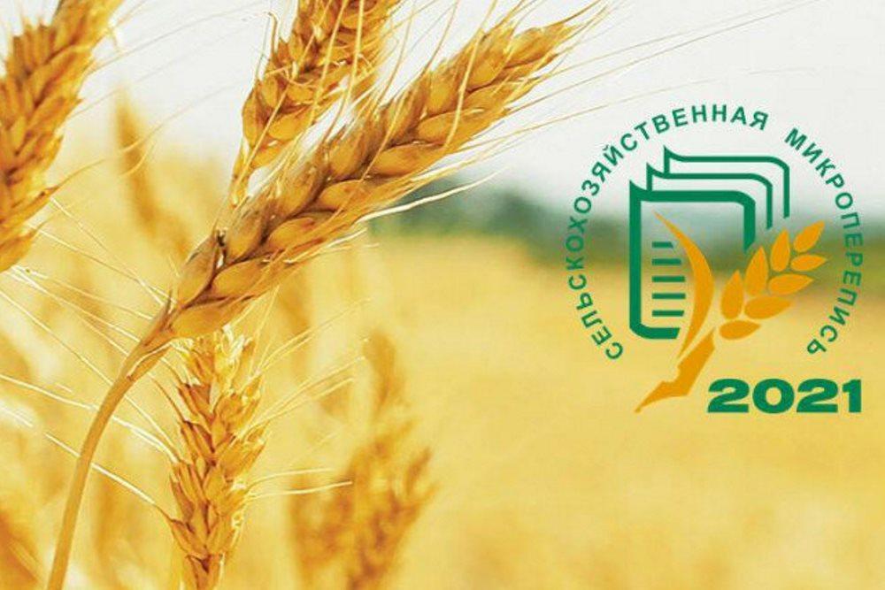 logo 2021 08 11